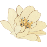 Grundlagen eines Dunkelretreats