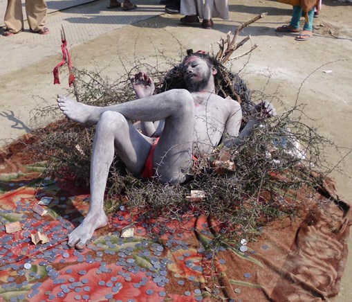 dsci1835_yogi-auf-dornenbett_509x436