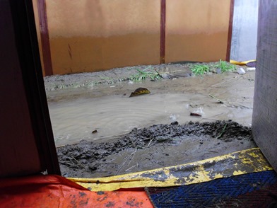 dsci2200_regen_392x294