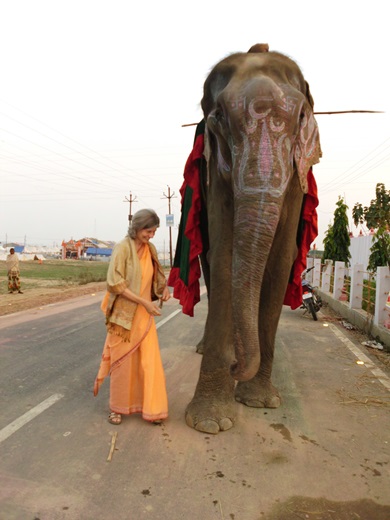 dsci2328_hochzeitselefant-und-ich_390x520