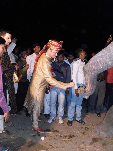 dsci2387_brutigam_bezahlt_elefanten_450x600