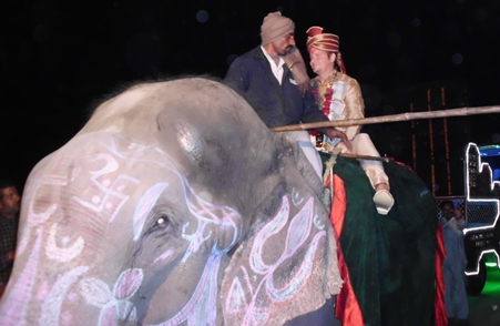 Bräutigam auf dem Elefanten aufgesessen