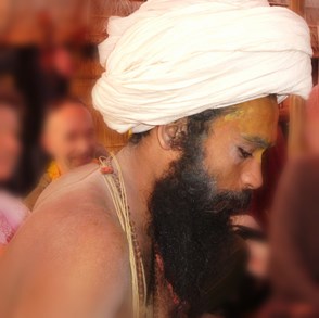 dsci2502_yogi_294x293