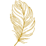 Beautiful Life Im Dunkelretreat, Saskia John, Buch