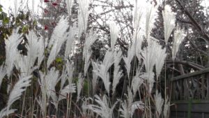 Entstehung von Schamgefühlen - Saskia John, Berlin, Potsdam, Leipzig, Dresden, Halle