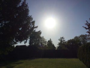 Sonne über den Bäumen, Dunkelretreat und Gotteserfahrungen, Saskia John, München, Rostock, Berlin, Dresden