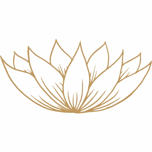 Lotusblüte, Im Dunkelretreat, Saskia John, Schweiz, Österreich, Deutschland