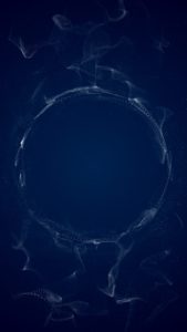 Rauhnächte im Dunkelretreat, Saskia John, Deutschland, Schweiz, Österreich