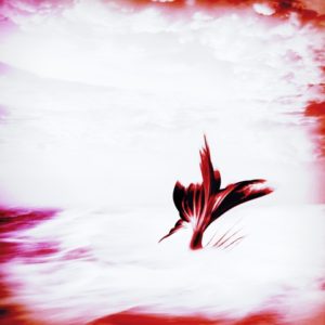 Verinnerlichung im Dunkelretreat – Erforschung des Selbst - Saskia John, Österreich, Schweiz, Deutschland