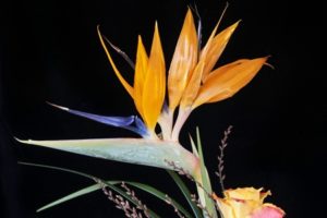 Leonard Anders im Gespräch mit Saskia John über Dunkelretreat